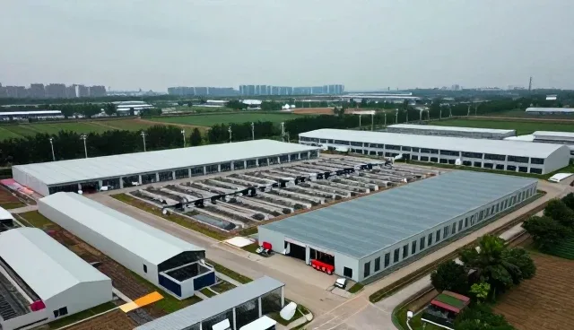 技术咨询中流程优化的常见问题及解决思路